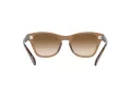 Ray-Ban Sonnenbrille RB 0707S 6640/51