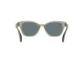 Ray-Ban Sonnenbrille RB 0880S 6635/3R