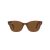 Ray-Ban Sonnenbrille RB 0880S 6640/57