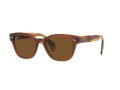 Ray-Ban Sonnenbrille RB 0880S 6640/57