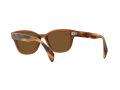 Ray-Ban Sonnenbrille RB 0880S 6640/57