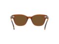 Ray-Ban Sonnenbrille RB 0880S 6640/57