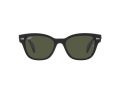 Ray-Ban Sonnenbrille RB 0880S 901/31