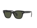 Ray-Ban Sonnenbrille RB 0880S 901/31