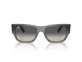 Ray-Ban Carlos Sonnenbrille RB 0947S 667571