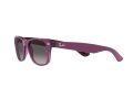 Ray-Ban New Wayfarer Sonnenbrille RB 2132 6606/M3