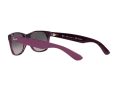 Ray-Ban New Wayfarer Sonnenbrille RB 2132 6606/M3