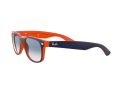 Ray-Ban New Wayfarer Sonnenbrille RB 2132 789/3F