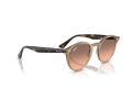 Ray-Ban Sonnenbrille RB 2180 678846
