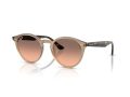 Ray-Ban Sonnenbrille RB 2180 678846