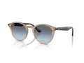 Ray-Ban Sonnenbrille RB 2180 6788V1