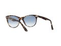 Ray-Ban Wayfarer Ii Sonnenbrille RB 2185 1332/3F