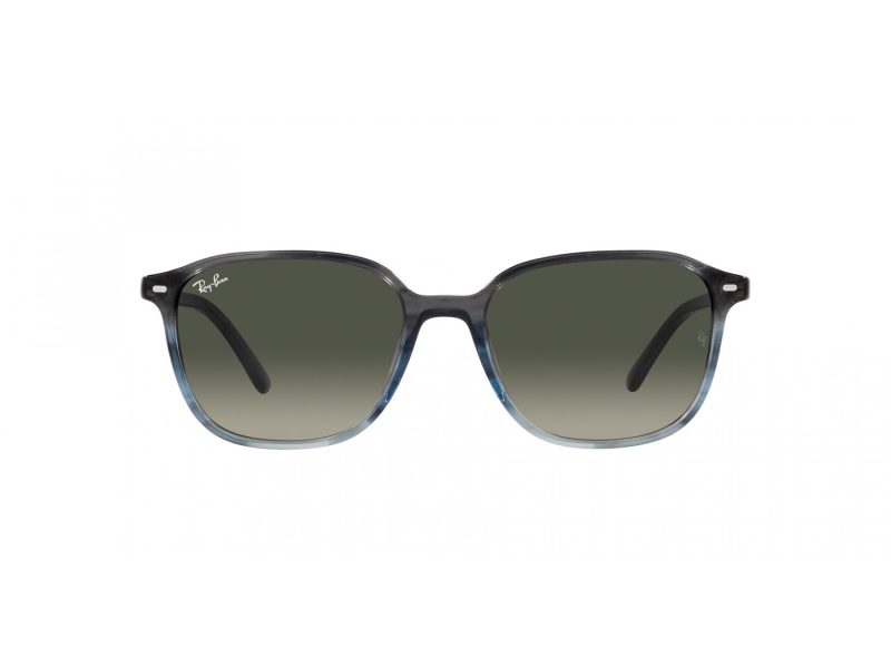Ray-Ban Leonard Sonnenbrille RB 2193 138171