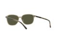 Ray-Ban Leonard Sonnenbrille RB 2193 6635/5C