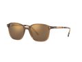 Ray-Ban Leonard Sonnenbrille RB 2193 6636/93
