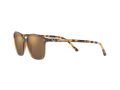 Ray-Ban Leonard Sonnenbrille RB 2193 6636/93