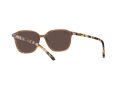 Ray-Ban Leonard Sonnenbrille RB 2193 6636/93