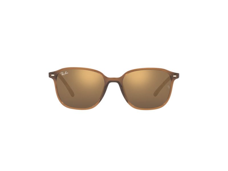 Ray-Ban Leonard Sonnenbrille RB 2193 6636/93