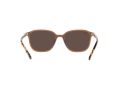 Ray-Ban Leonard Sonnenbrille RB 2193 6636/93