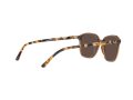 Ray-Ban Leonard Sonnenbrille RB 2193 6636/93