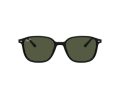 Ray-Ban Leonard Sonnenbrille RB 2193 901/31