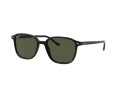 Ray-Ban Leonard Sonnenbrille RB 2193 901/31