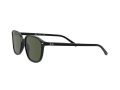 Ray-Ban Leonard Sonnenbrille RB 2193 901/31