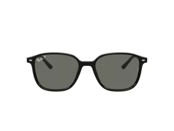 Ray-Ban Leonard Sonnenbrille RB 2193 901/58