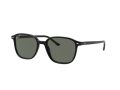 Ray-Ban Leonard Sonnenbrille RB 2193 901/58