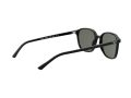 Ray-Ban Leonard Sonnenbrille RB 2193 901/58