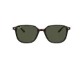 Ray-Ban Leonard Sonnenbrille RB 2193 902/31