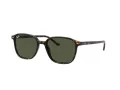 Ray-Ban Leonard Sonnenbrille RB 2193 902/31