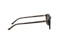 Ray-Ban Leonard Sonnenbrille RB 2193 902/31