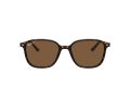 Ray-Ban Leonard Sonnenbrille RB 2193 902/57