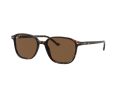 Ray-Ban Leonard Sonnenbrille RB 2193 902/57