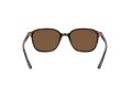 Ray-Ban Leonard Sonnenbrille RB 2193 902/57