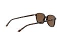 Ray-Ban Leonard Sonnenbrille RB 2193 902/57
