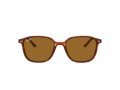 Ray-Ban Leonard Sonnenbrille RB 2193 954/33
