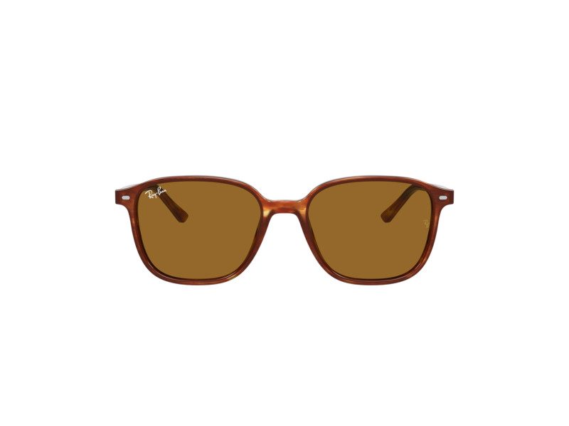Ray-Ban Leonard Sonnenbrille RB 2193 954/33
