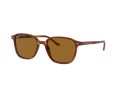 Ray-Ban Leonard Sonnenbrille RB 2193 954/33