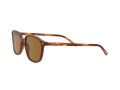 Ray-Ban Leonard Sonnenbrille RB 2193 954/33