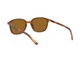 Ray-Ban Leonard Sonnenbrille RB 2193 954/33