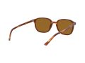 Ray-Ban Leonard Sonnenbrille RB 2193 954/33