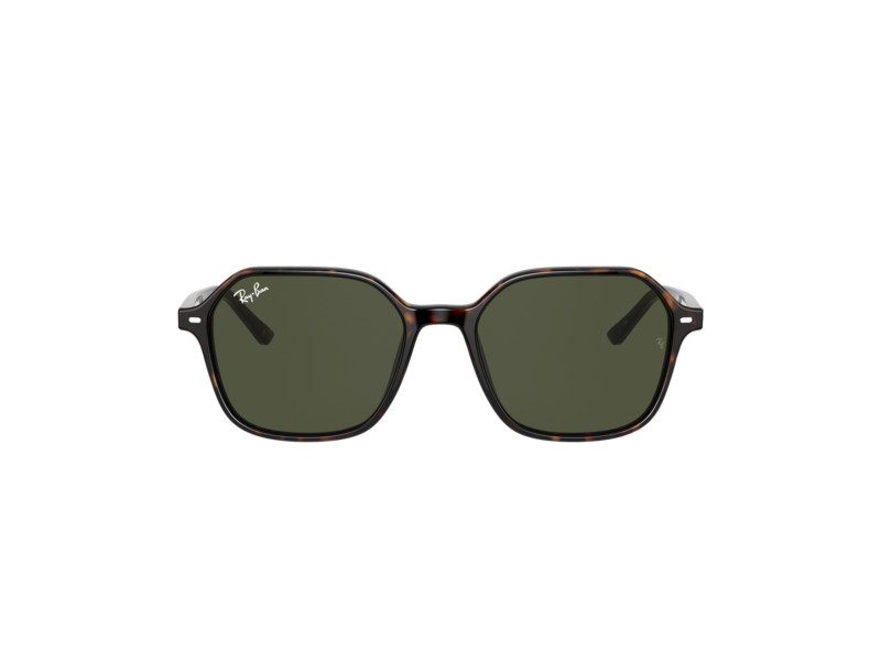 Ray-Ban John Sonnenbrille RB 2194 902/31