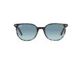 Ray-Ban Elliot Sonnenbrille RB 2197 1356/3M