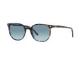 Ray-Ban Elliot Sonnenbrille RB 2197 1356/3M