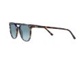 Ray-Ban Elliot Sonnenbrille RB 2197 13563M