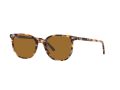 Ray-Ban Elliot Sonnenbrille RB 2197 1357/57
