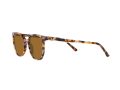 Ray-Ban Elliot Sonnenbrille RB 2197 1357/57