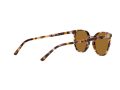 Ray-Ban Elliot Sonnenbrille RB 2197 1357/57